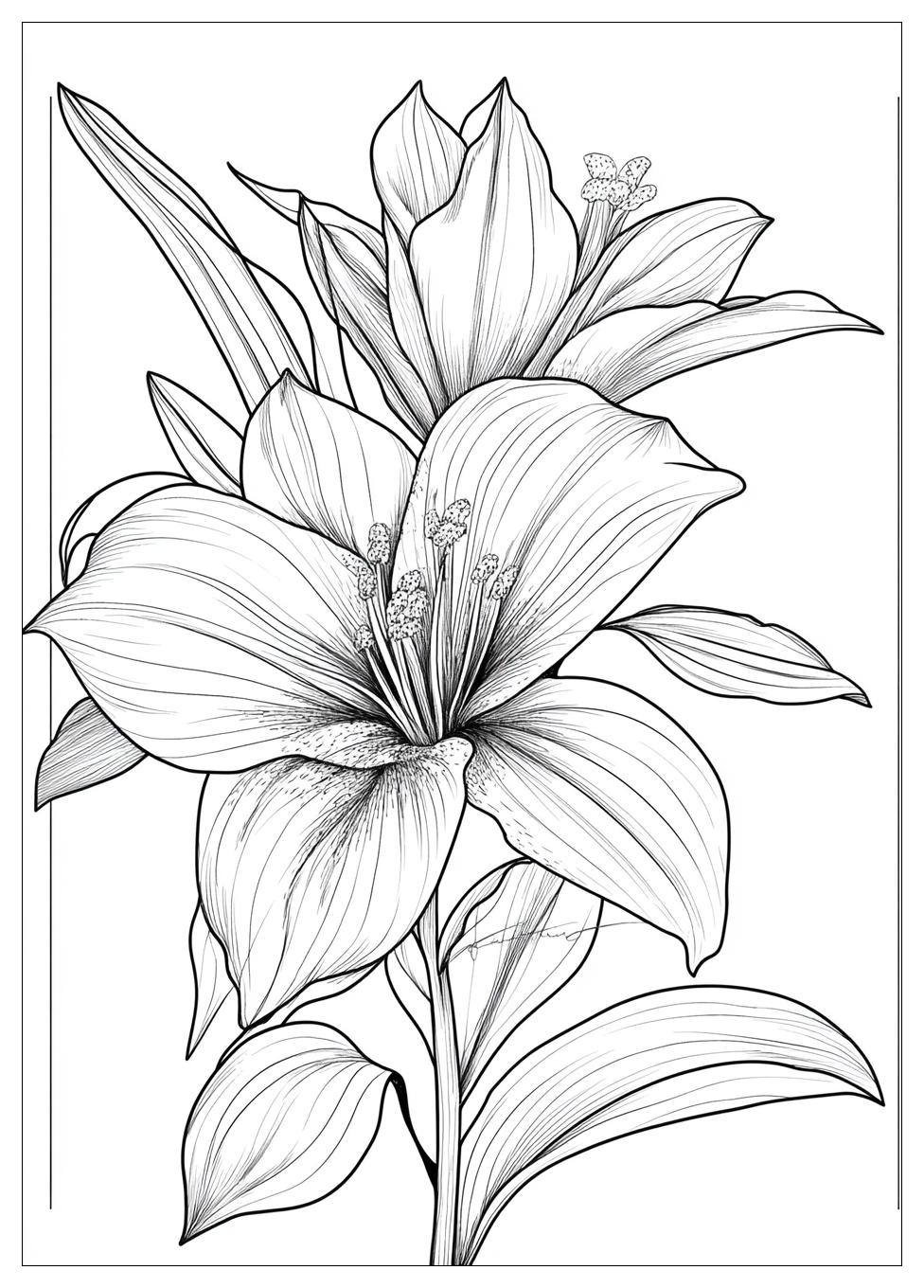 aesthetic_coloring_pages_17