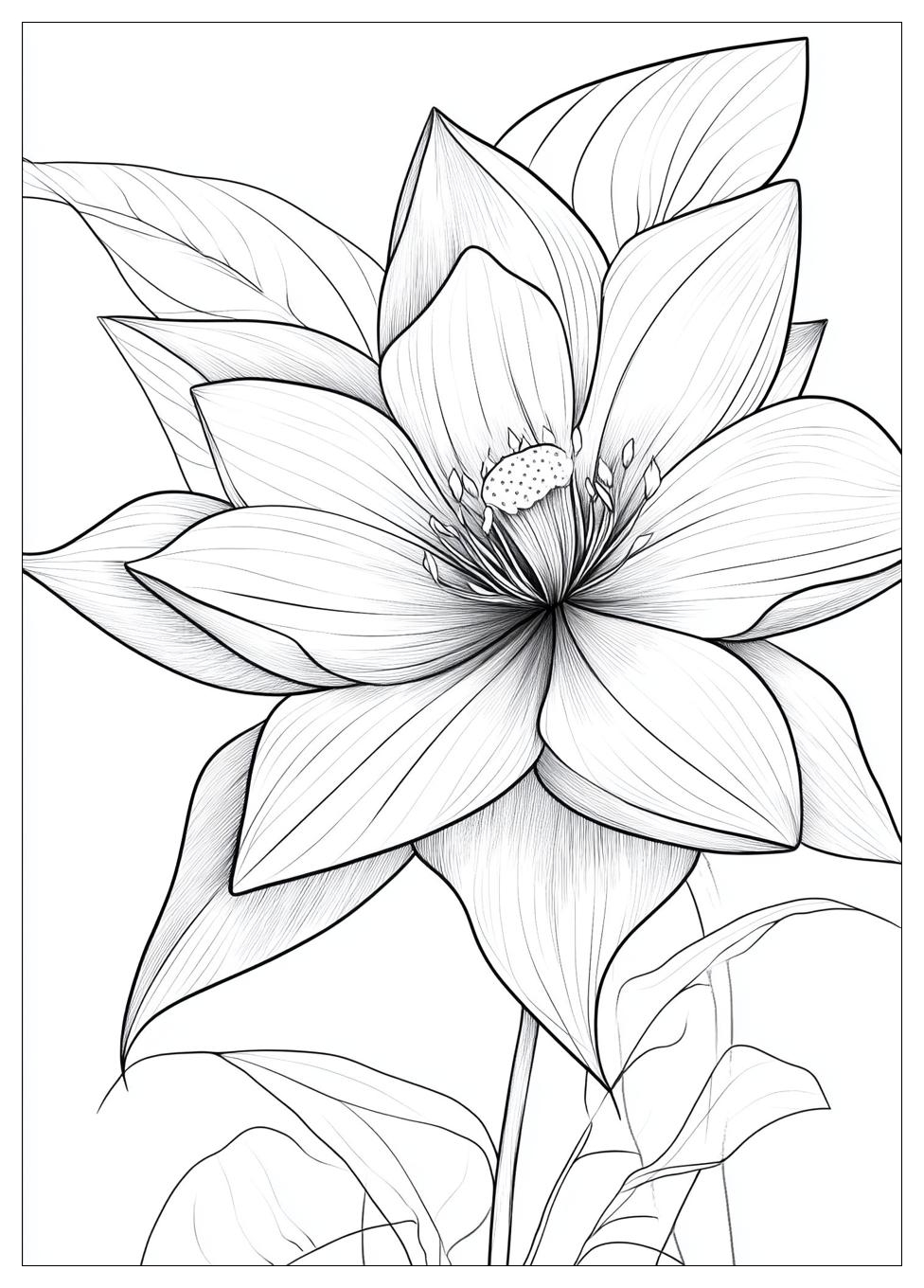 aesthetic_coloring_pages_2