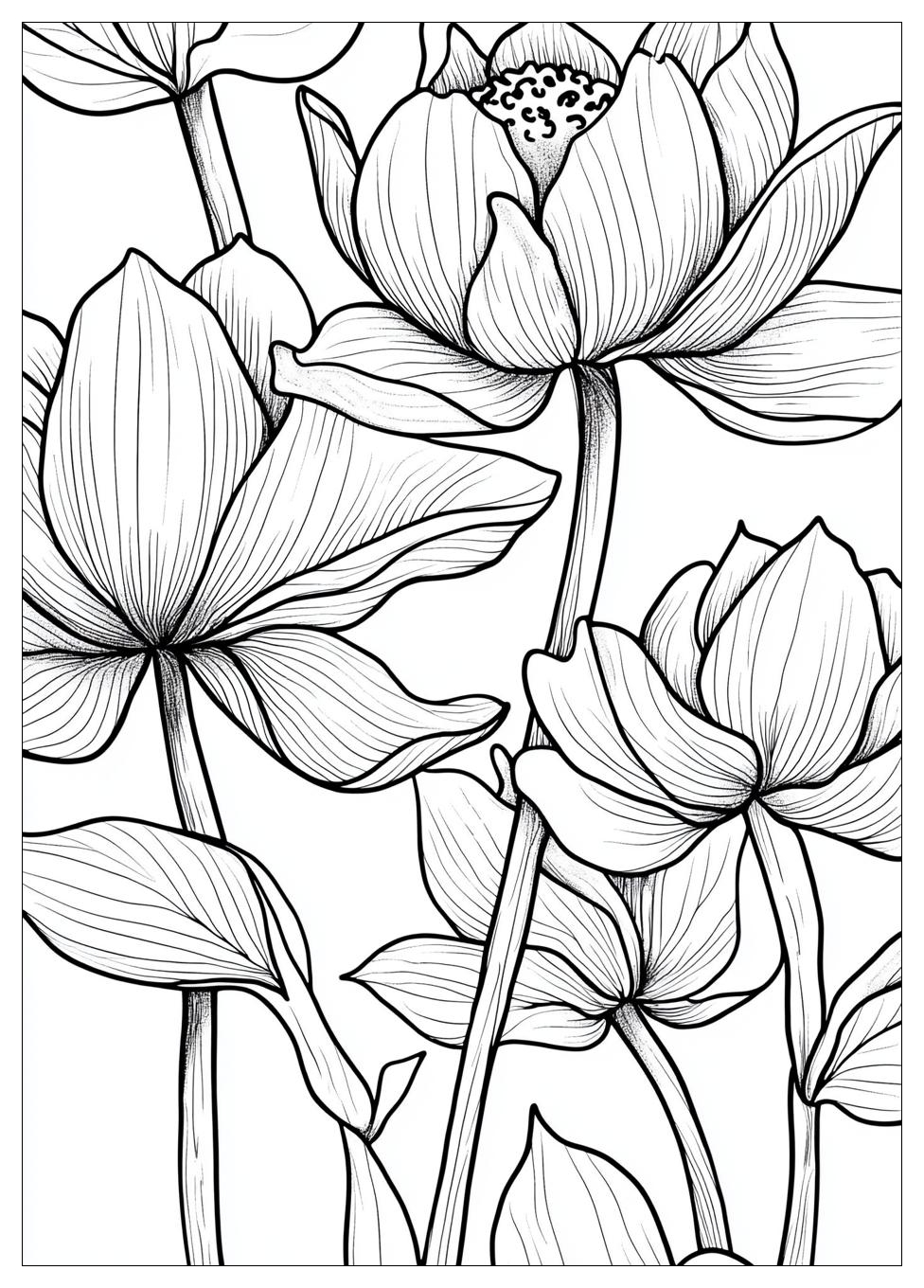 aesthetic_coloring_pages_5