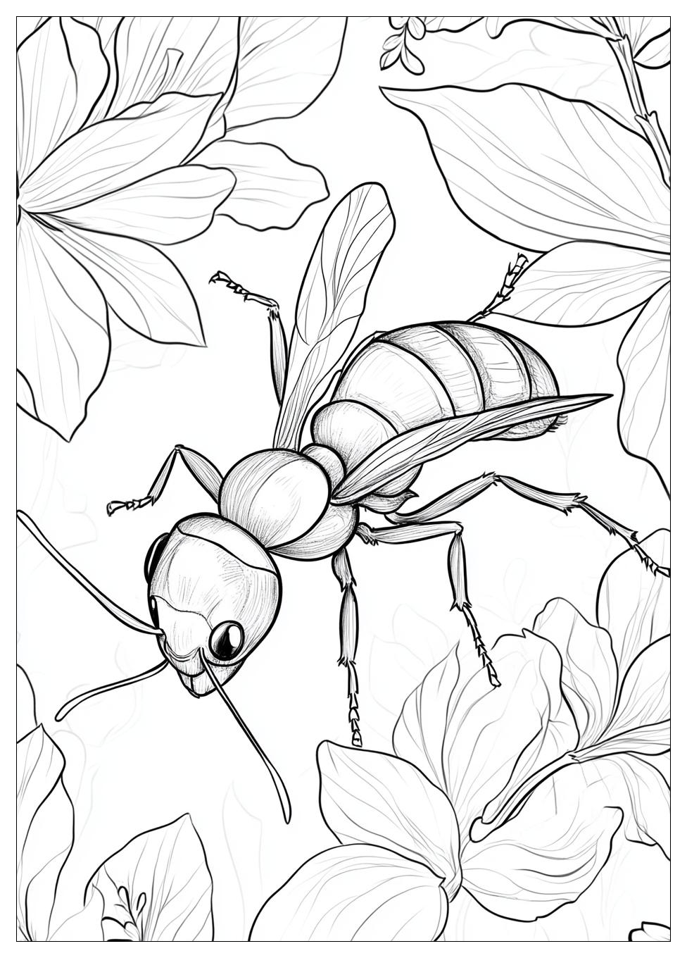 ant_coloring_pages_24