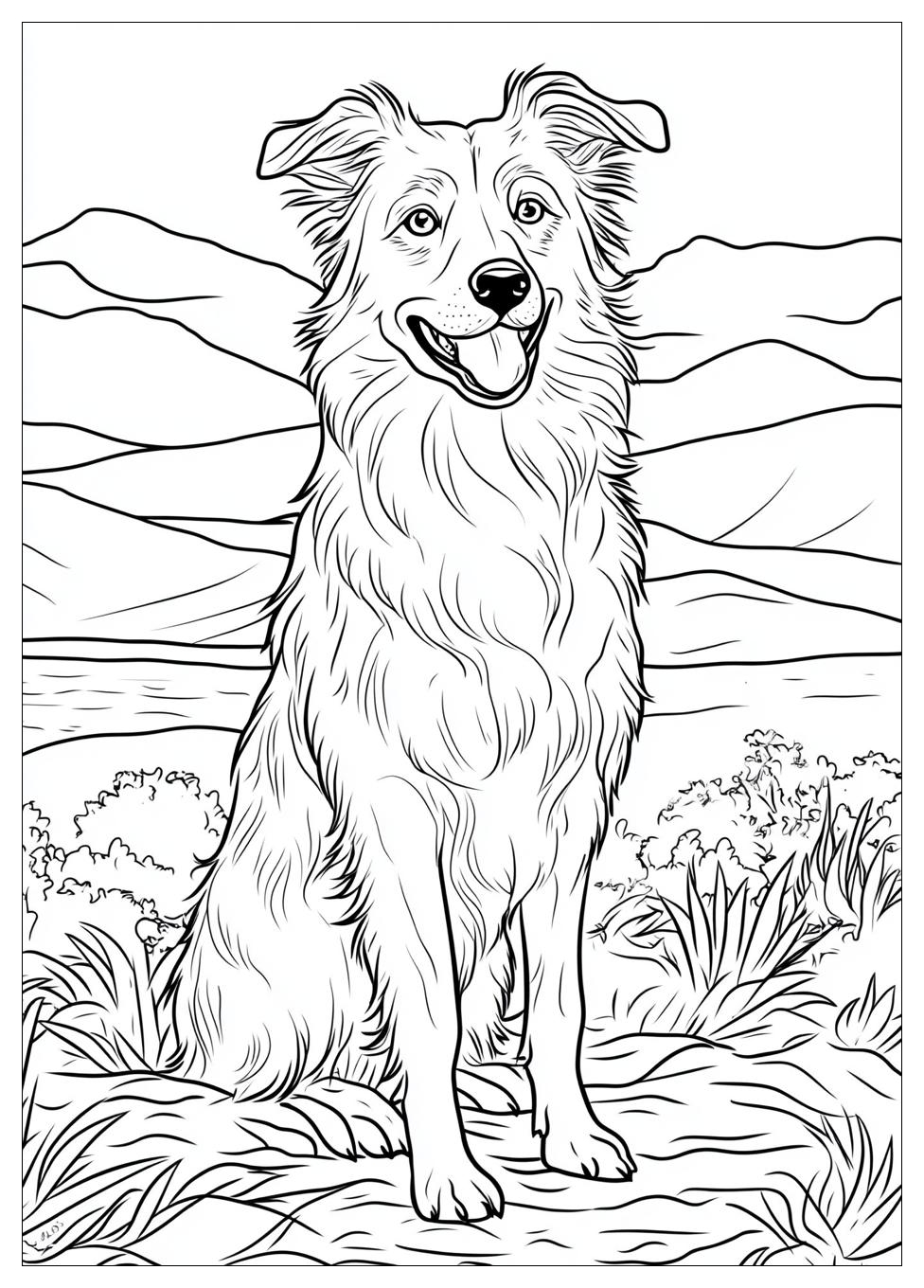 australian_shepherd_coloring_pages_15