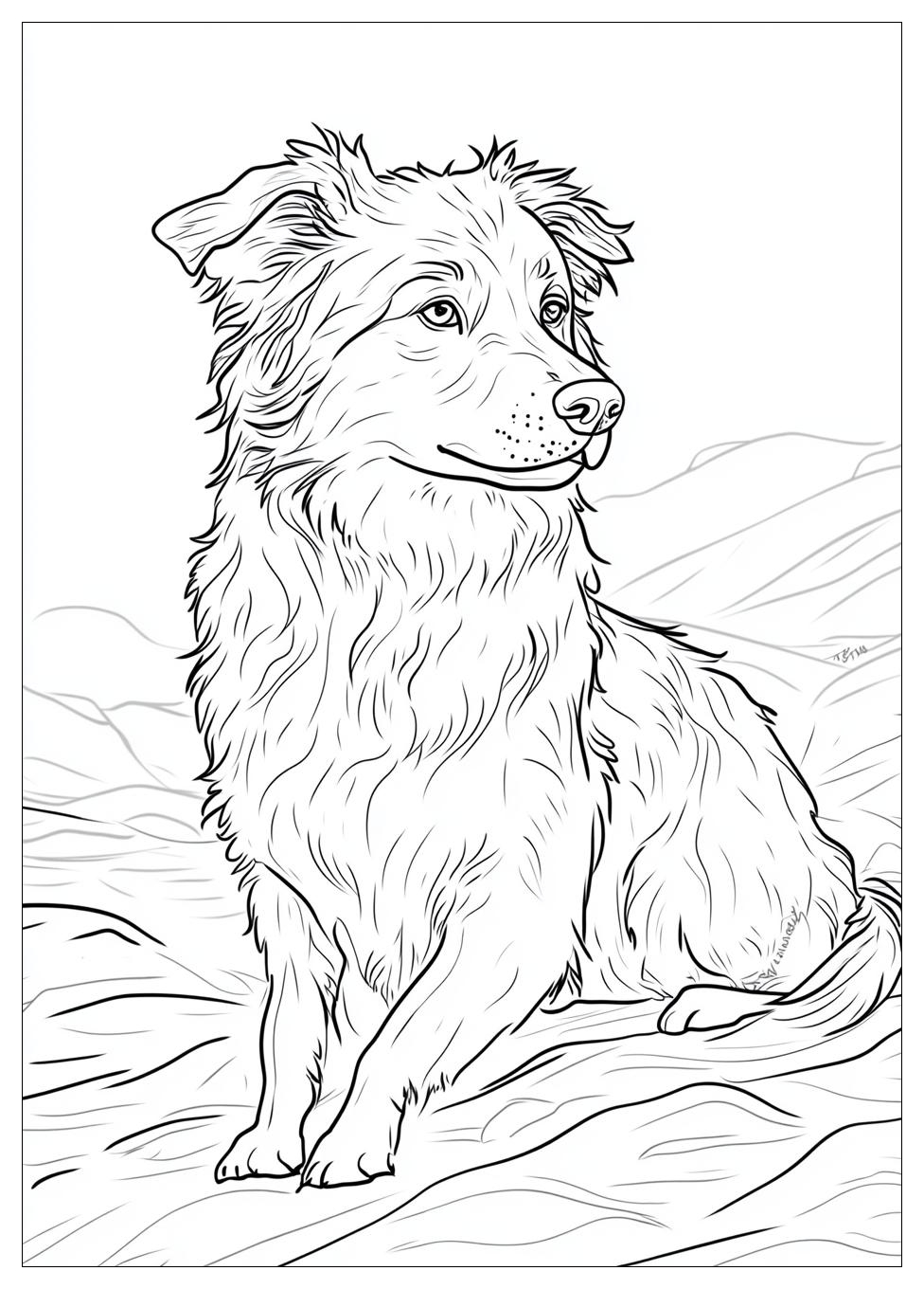 australian_shepherd_coloring_pages_16