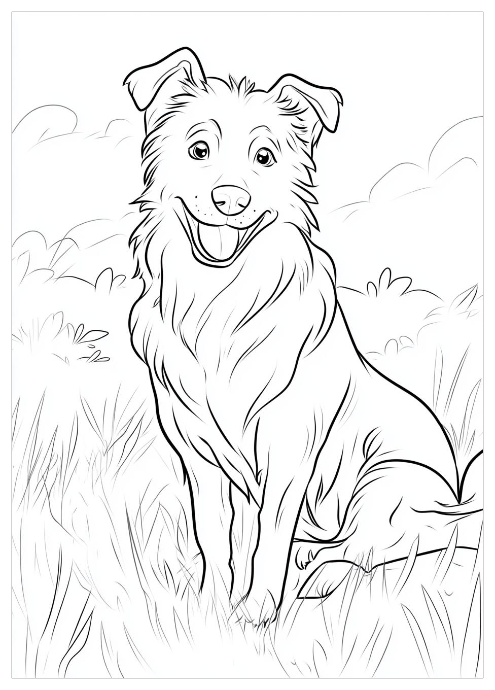 australian_shepherd_coloring_pages_17