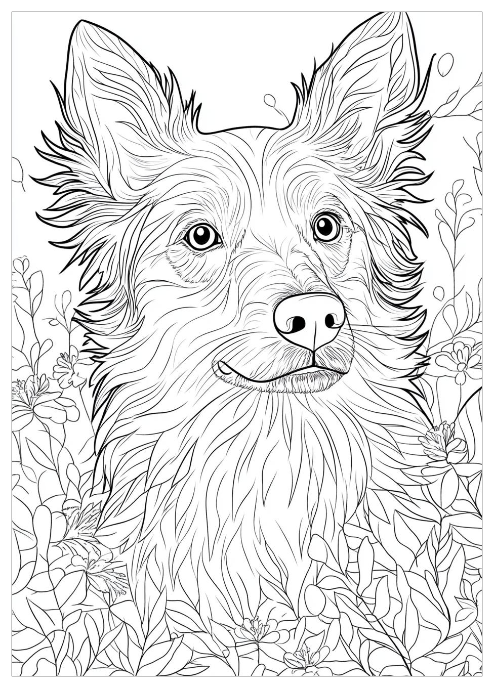 australian_shepherd_coloring_pages_21