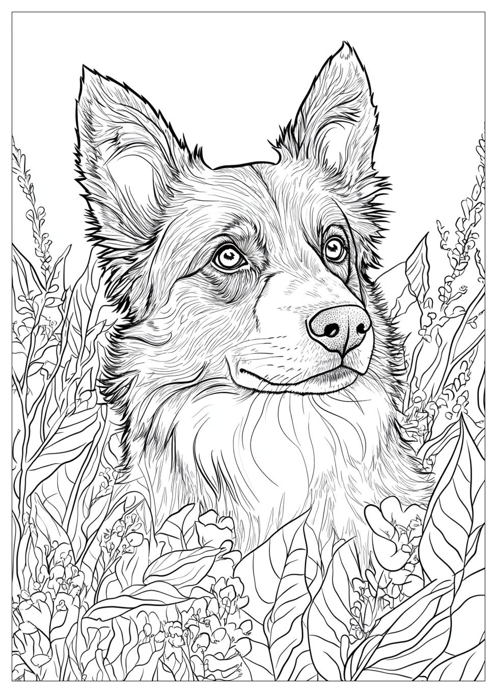 australian_shepherd_coloring_pages_22