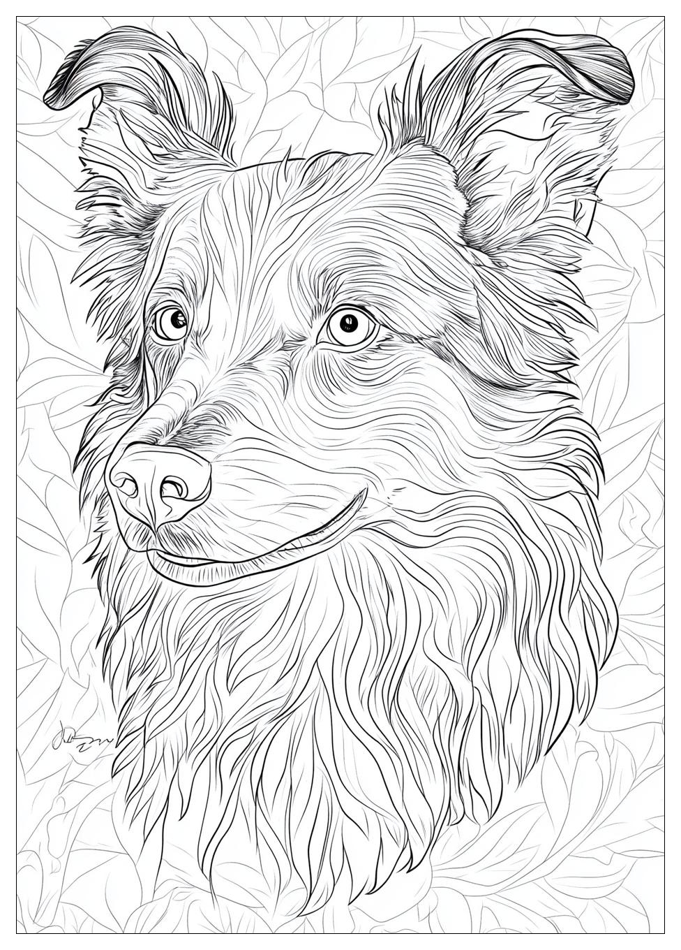 australian_shepherd_coloring_pages_23