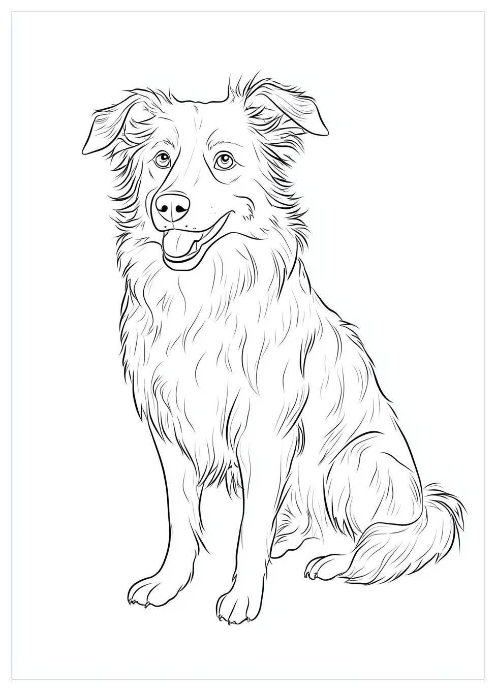 australian_shepherd_coloring_pages_8