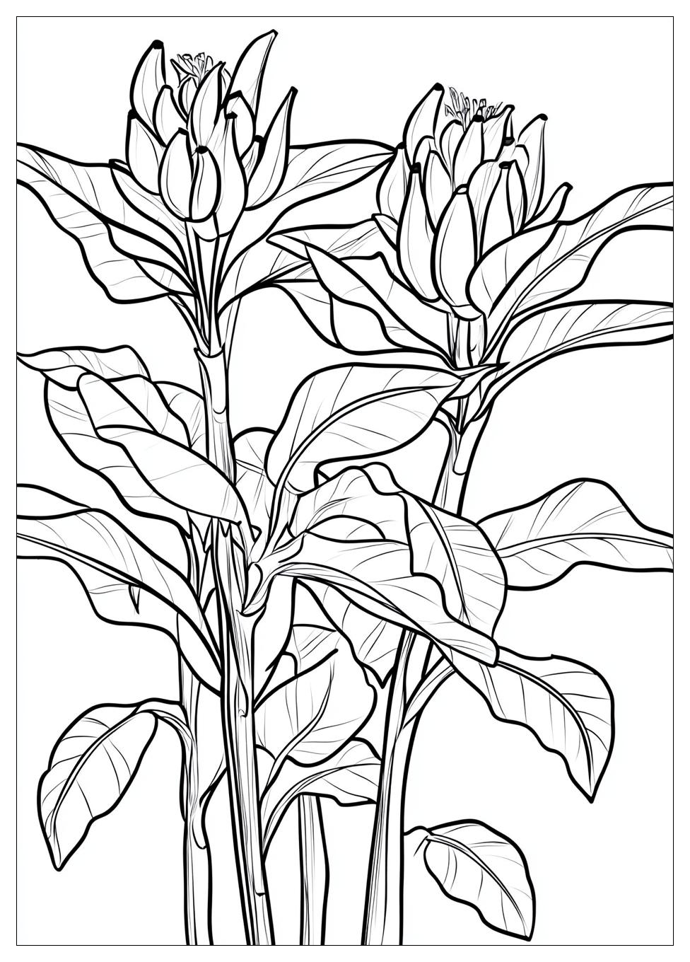 banana_tree_coloring_pages_24
