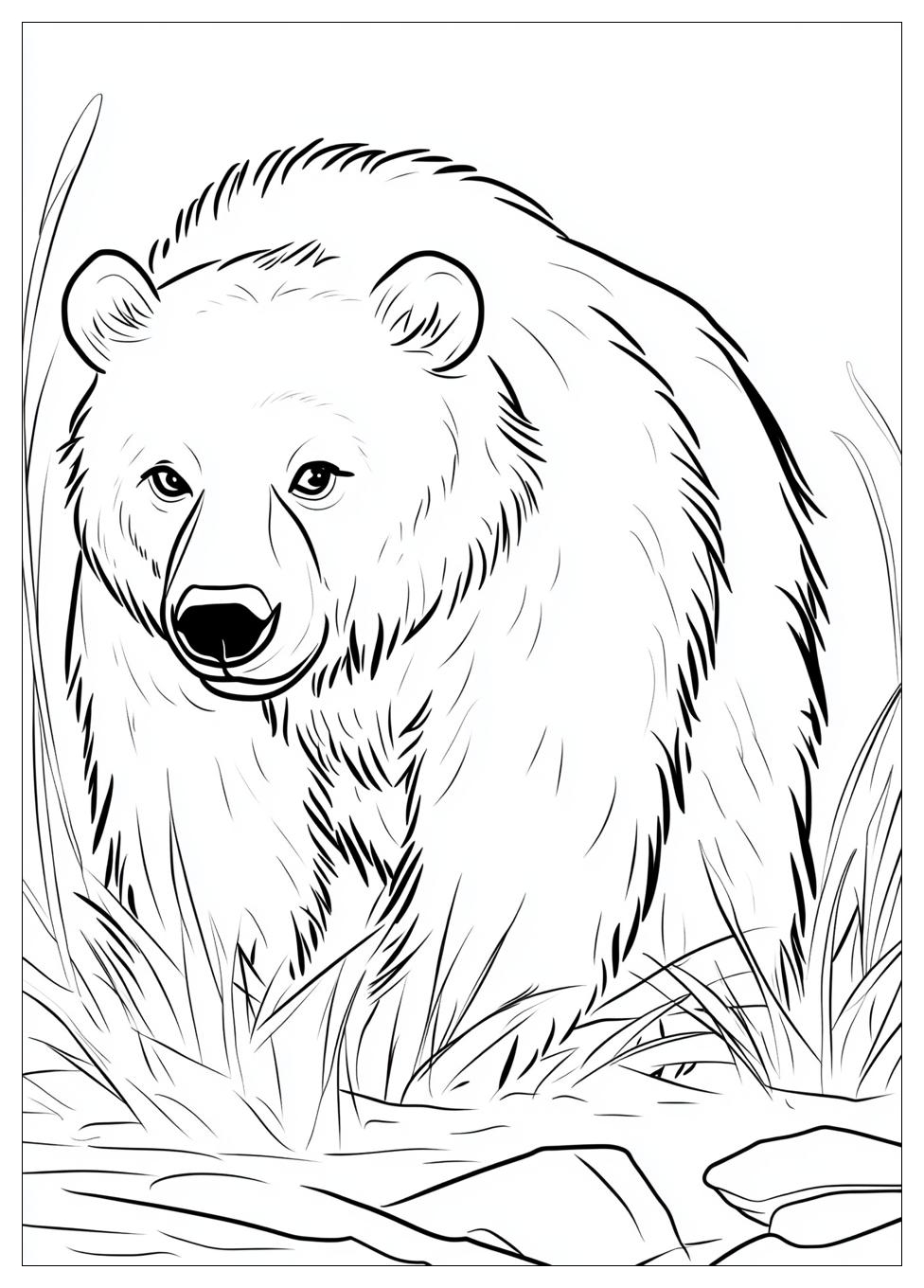 bear_coloring_pages_17