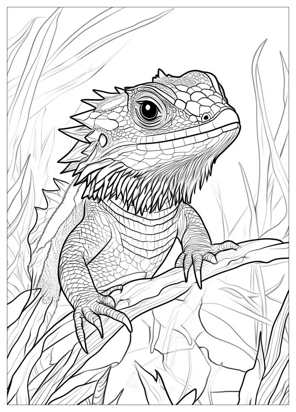 bearded_dragon_coloring_pages_13
