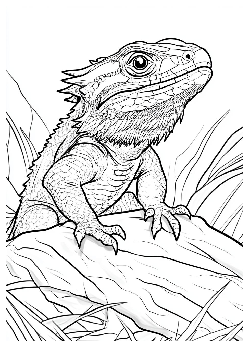bearded_dragon_coloring_pages_20