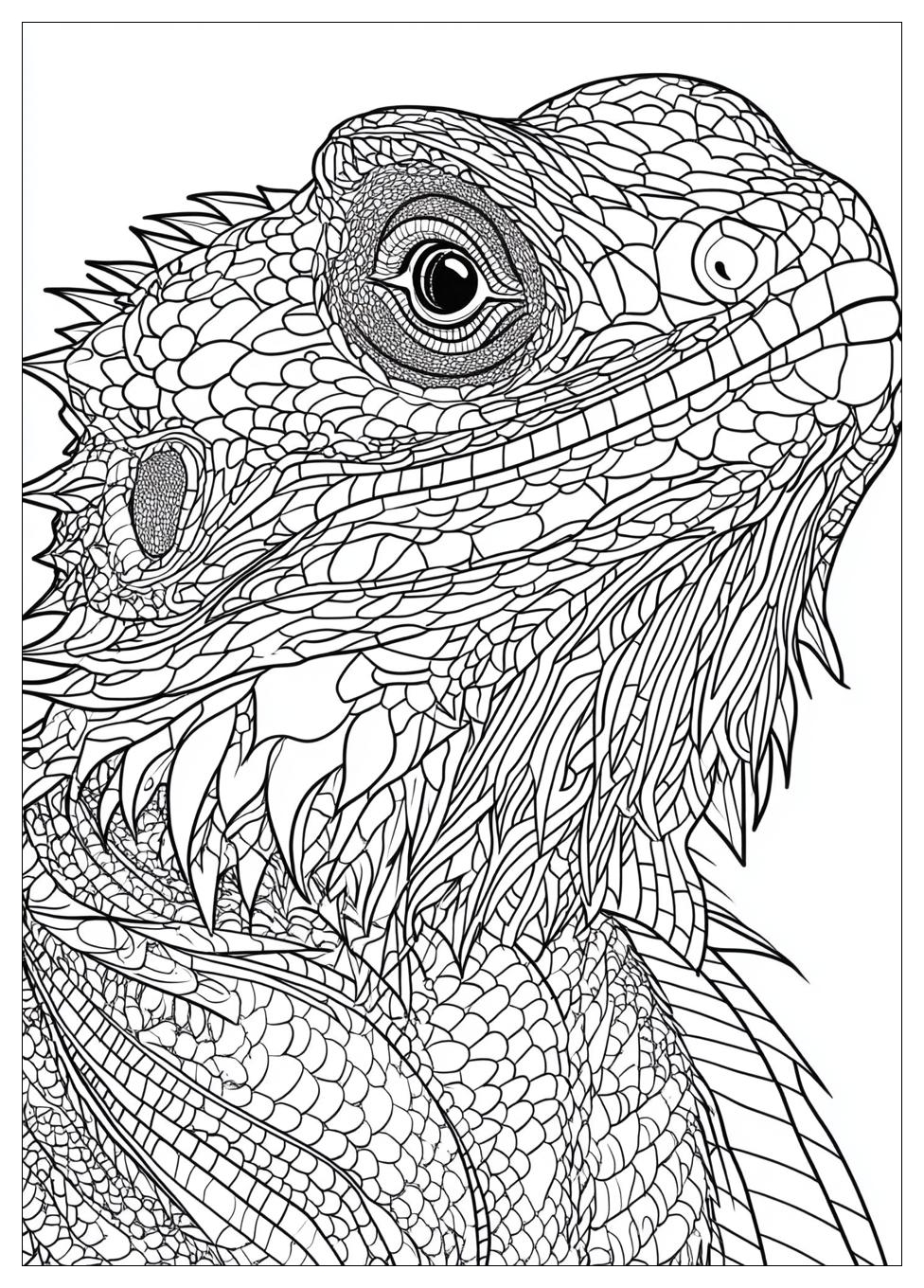 bearded_dragon_coloring_pages_21