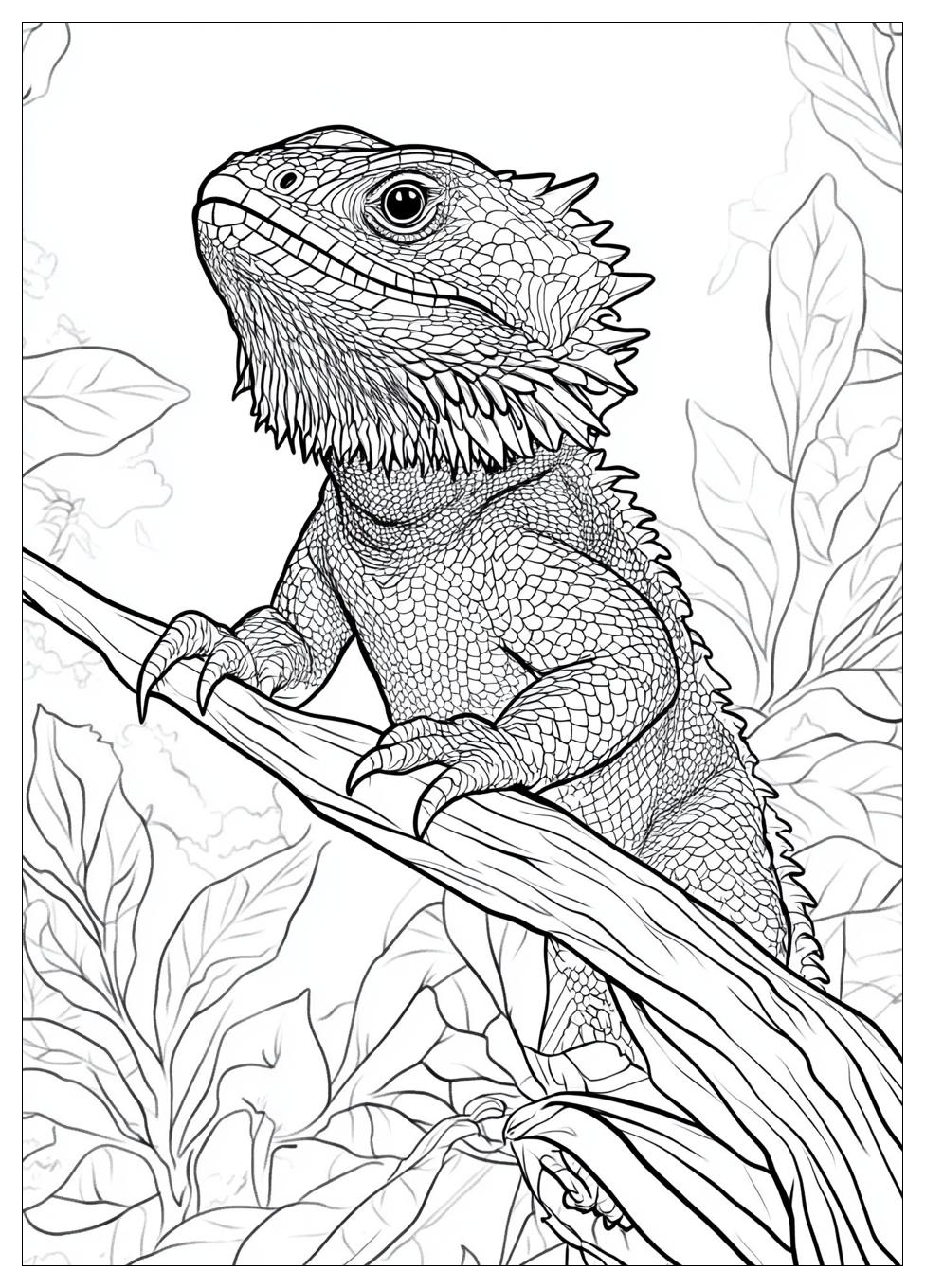 bearded_dragon_coloring_pages_3