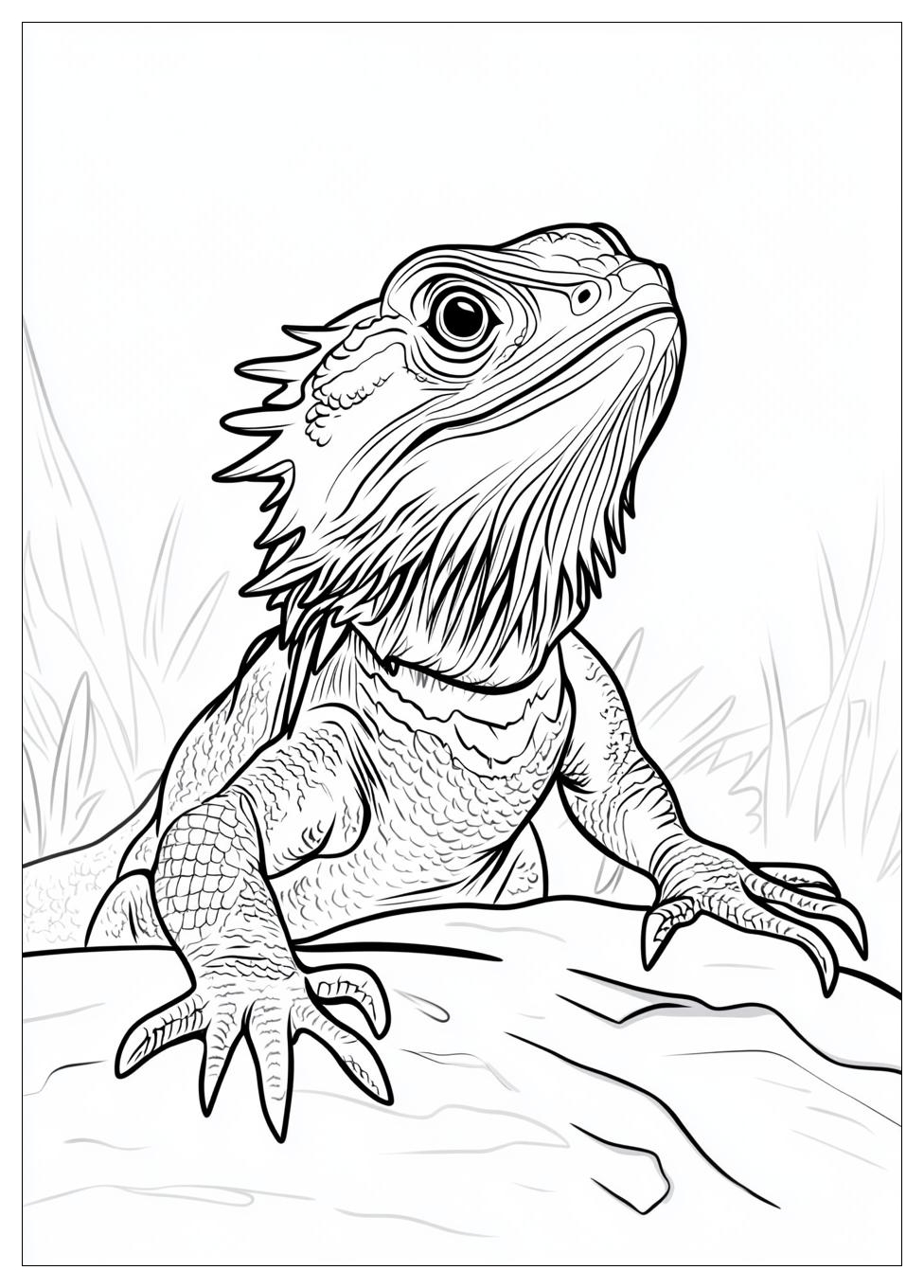 bearded_dragon_coloring_pages_4