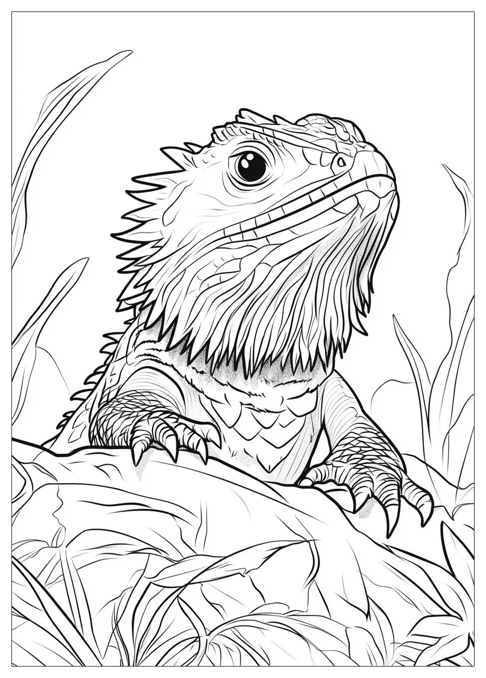 bearded_dragon_coloring_pages_5