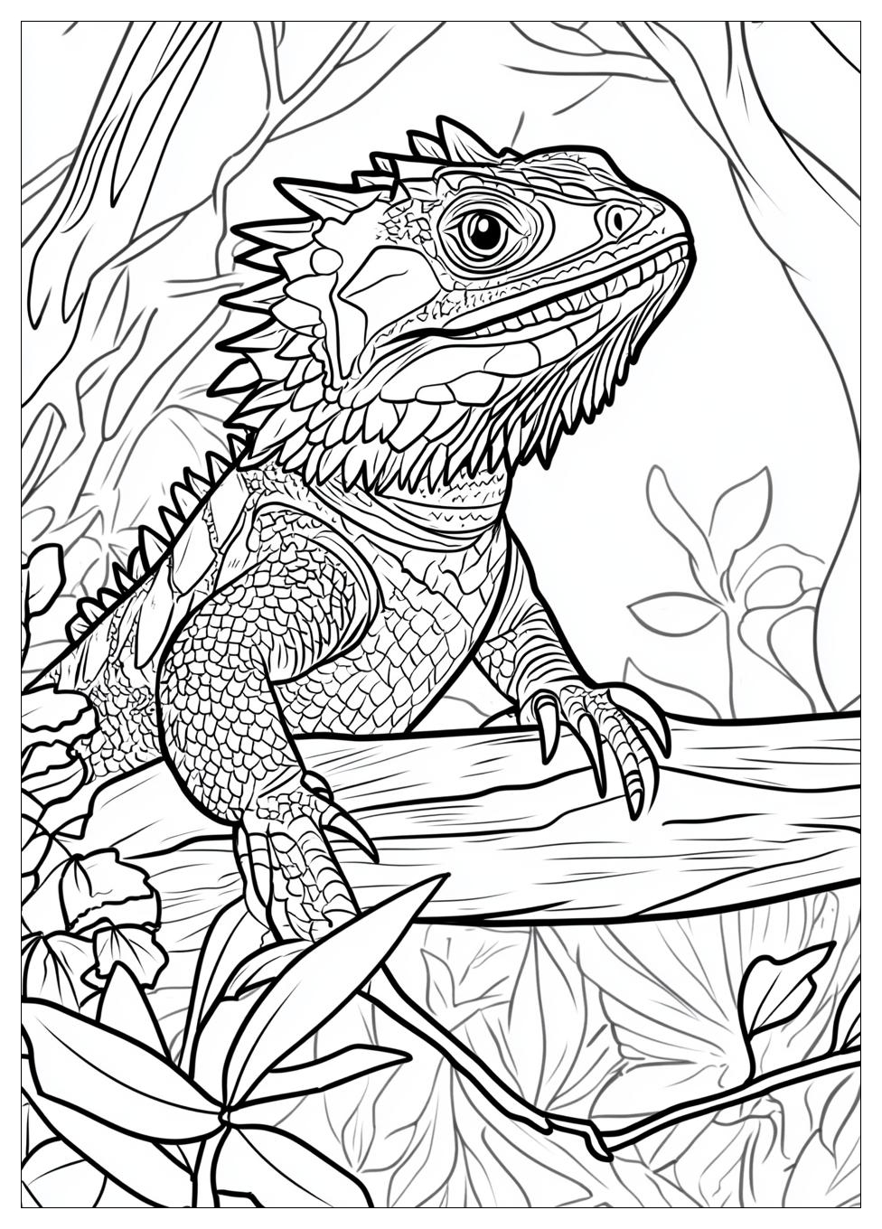 bearded_dragon_coloring_pages_6