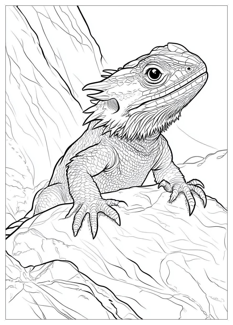 bearded_dragon_coloring_pages_7