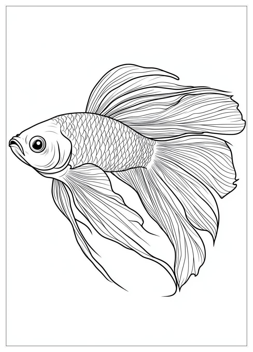 betta_fish_coloring_pages_1