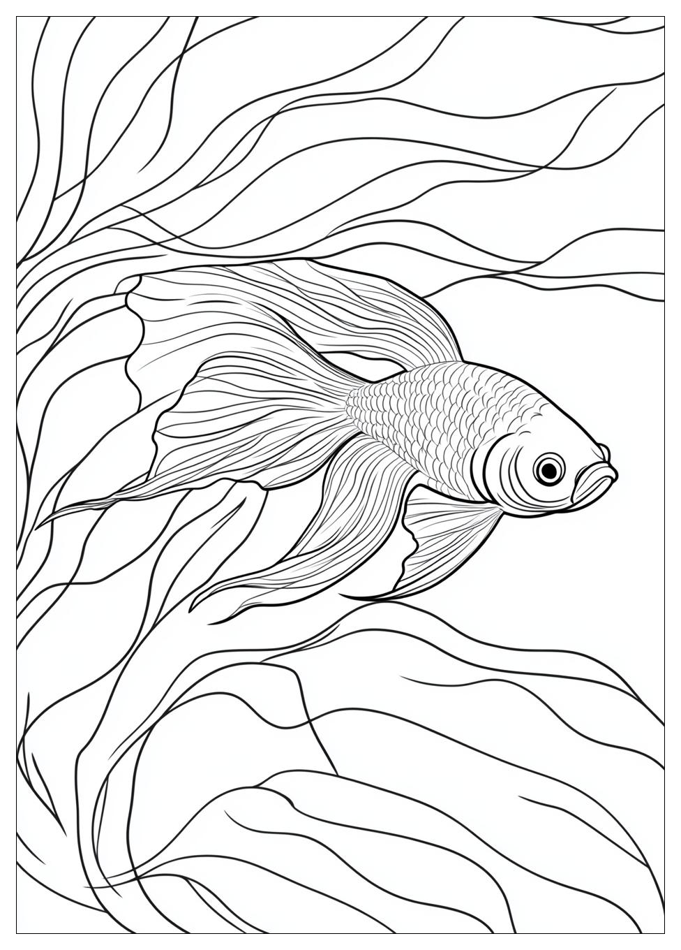 betta_fish_coloring_pages_6