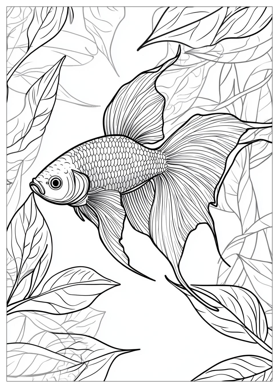 betta_fish_coloring_pages_7