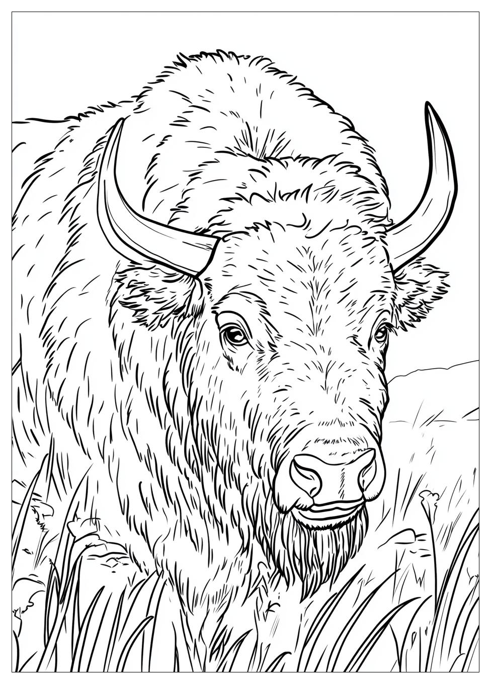 buffalo_coloring_pages_2