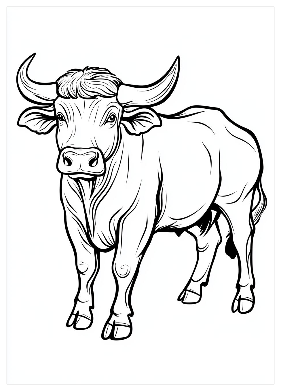 bull_coloring_pages_2