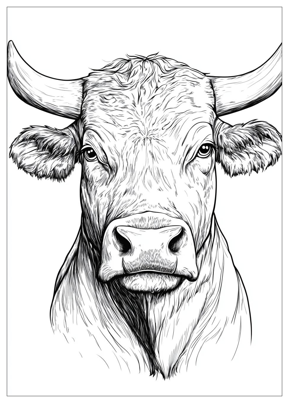 bull_coloring_pages_20