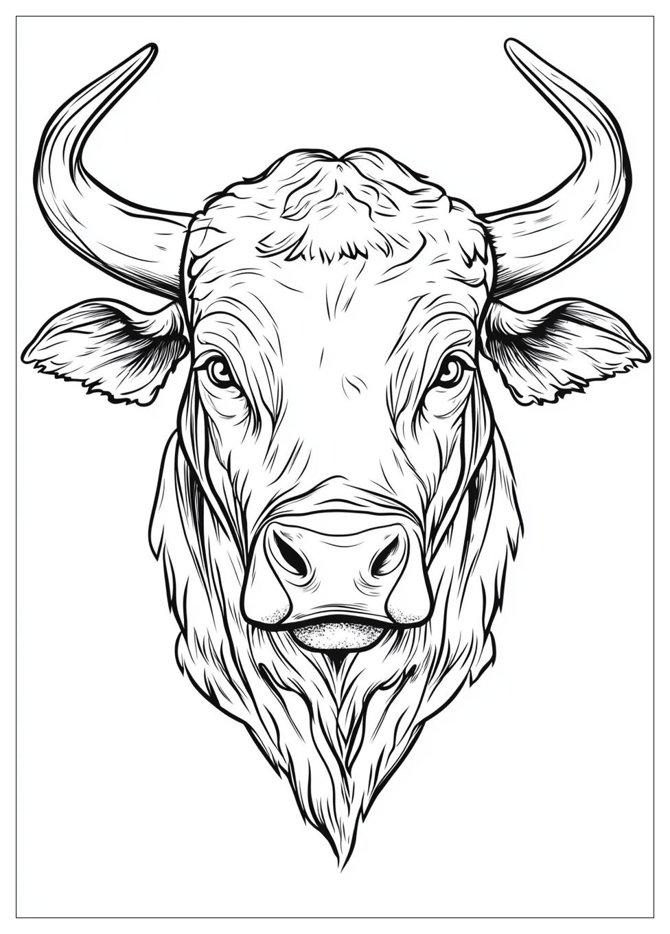 bull_coloring_pages_3