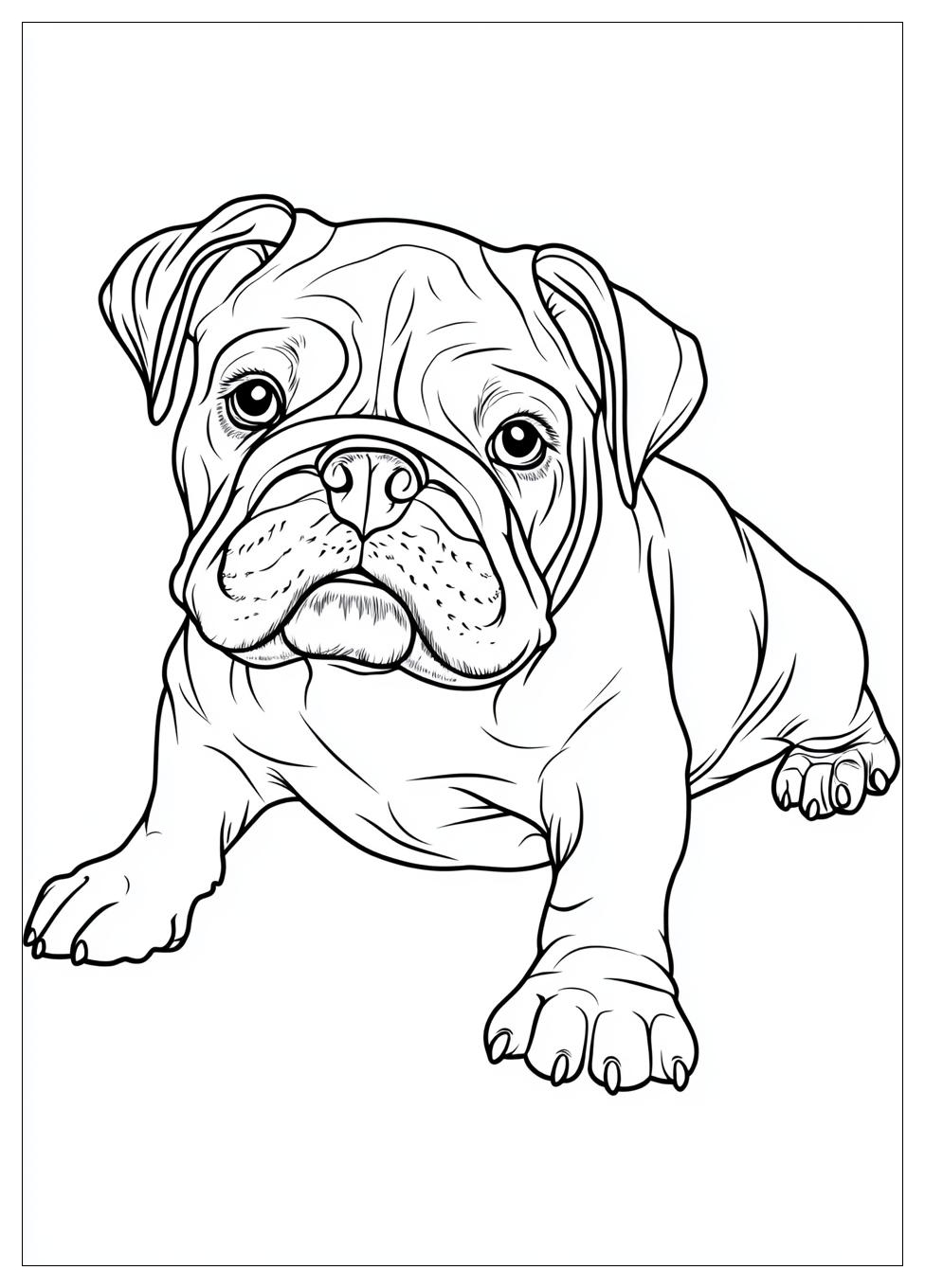 bulldog_coloring_pages_12