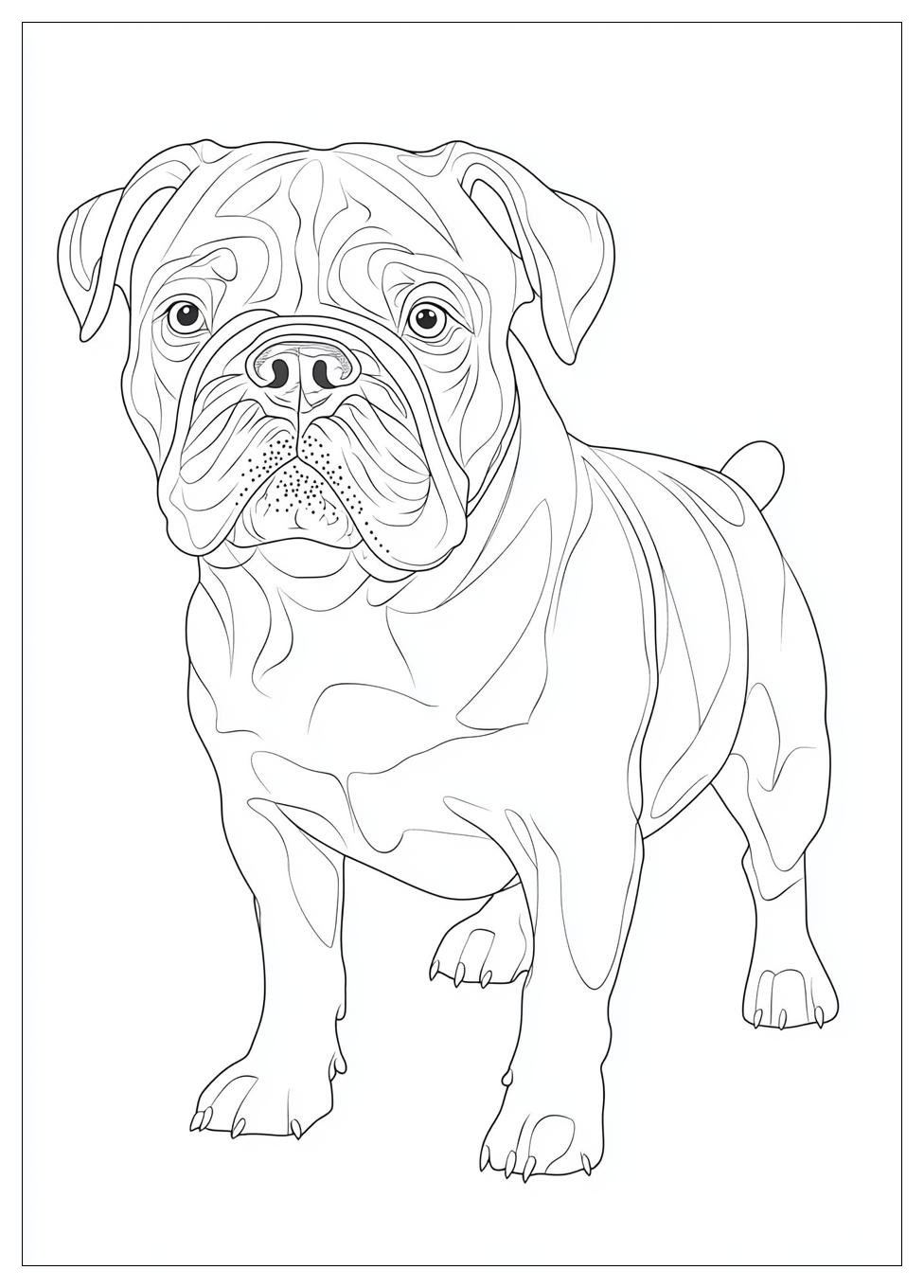 bulldog_coloring_pages_21