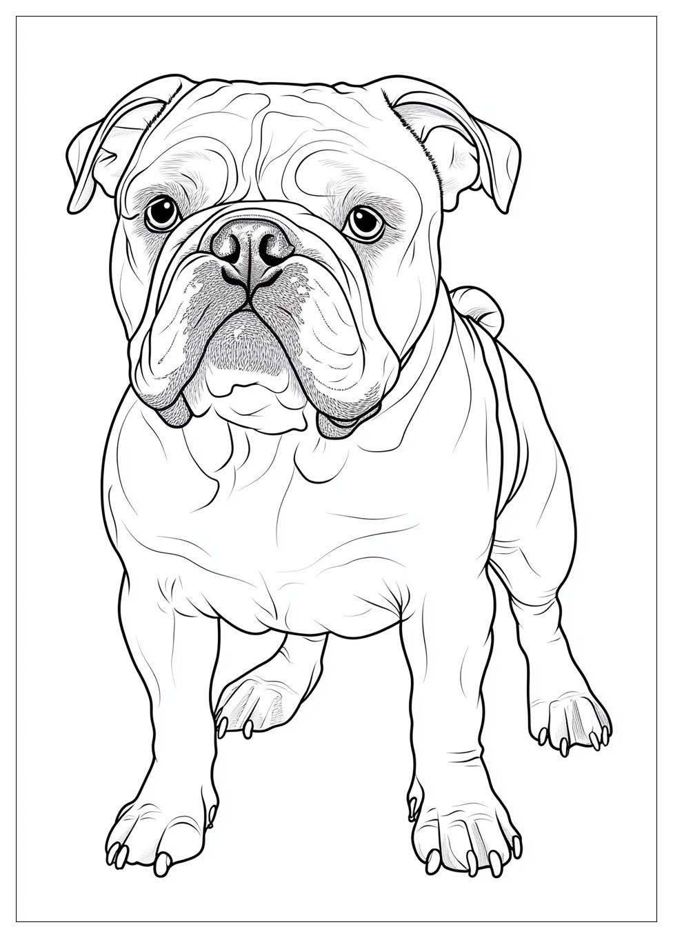 bulldog_coloring_pages_23