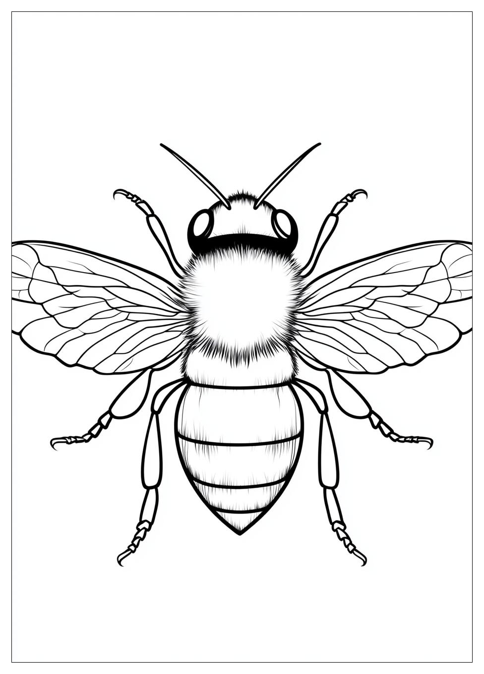 bumblebee_coloring_pages_10
