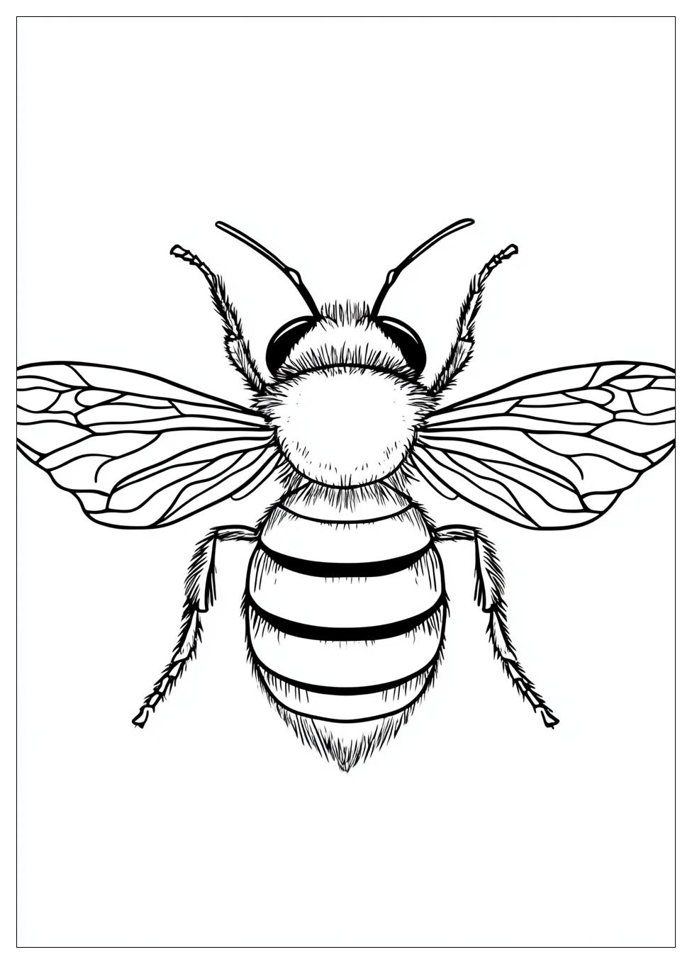 bumblebee_coloring_pages_12