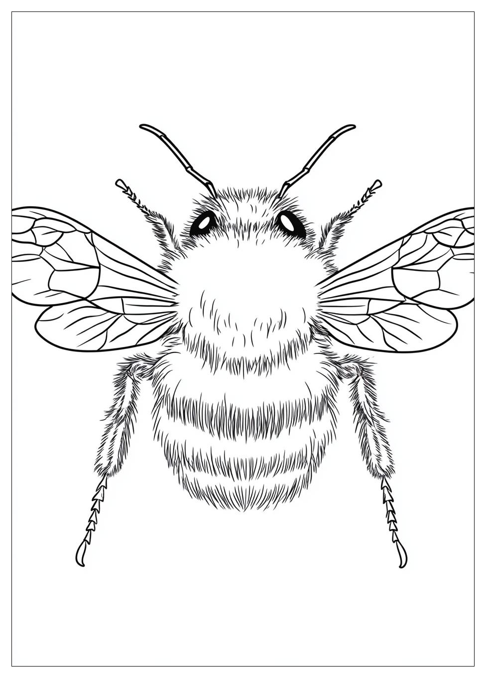 bumblebee_coloring_pages_16