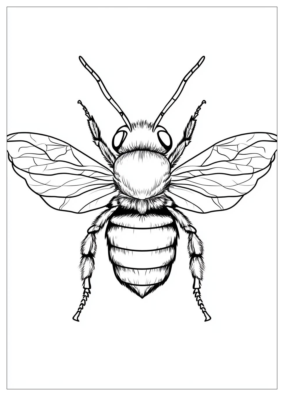 bumblebee_coloring_pages_20
