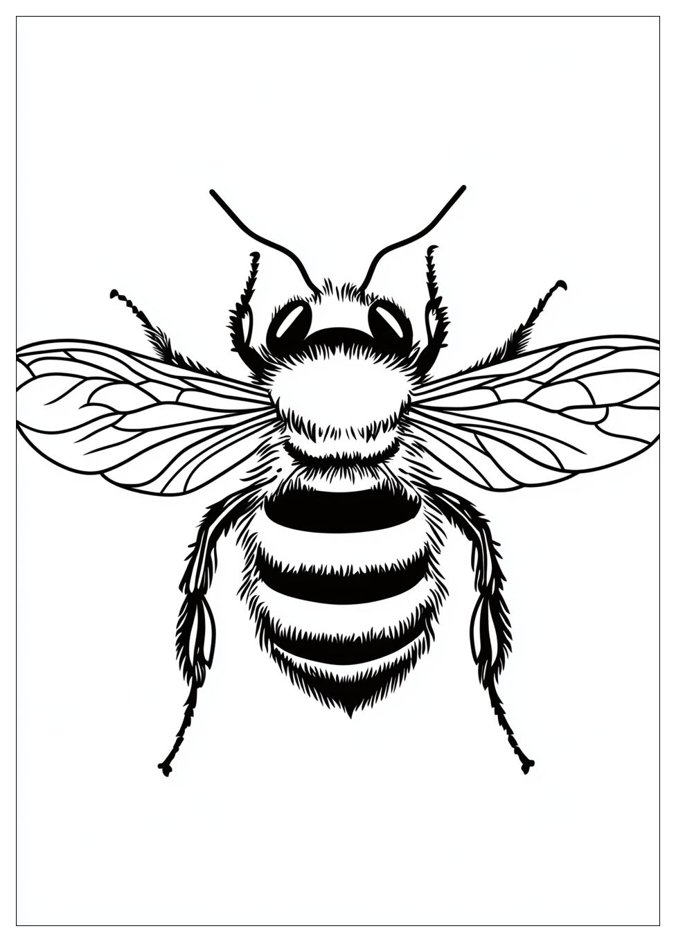 bumblebee_coloring_pages_9