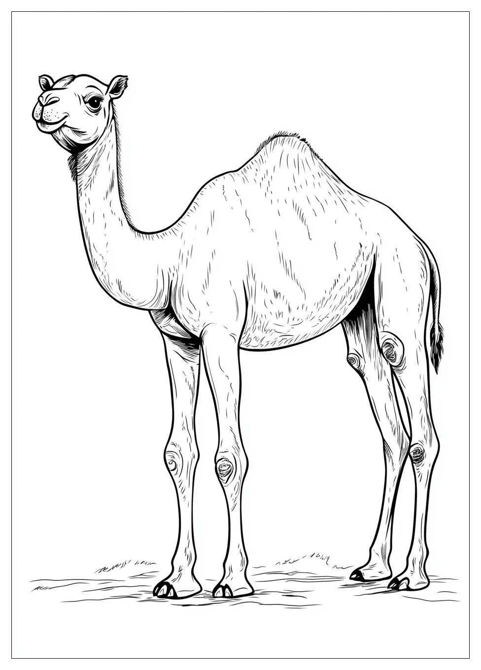 camel_coloring_pages_11