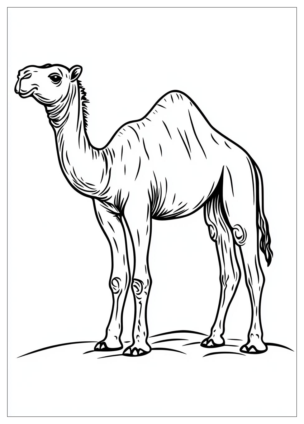 camel_coloring_pages_12