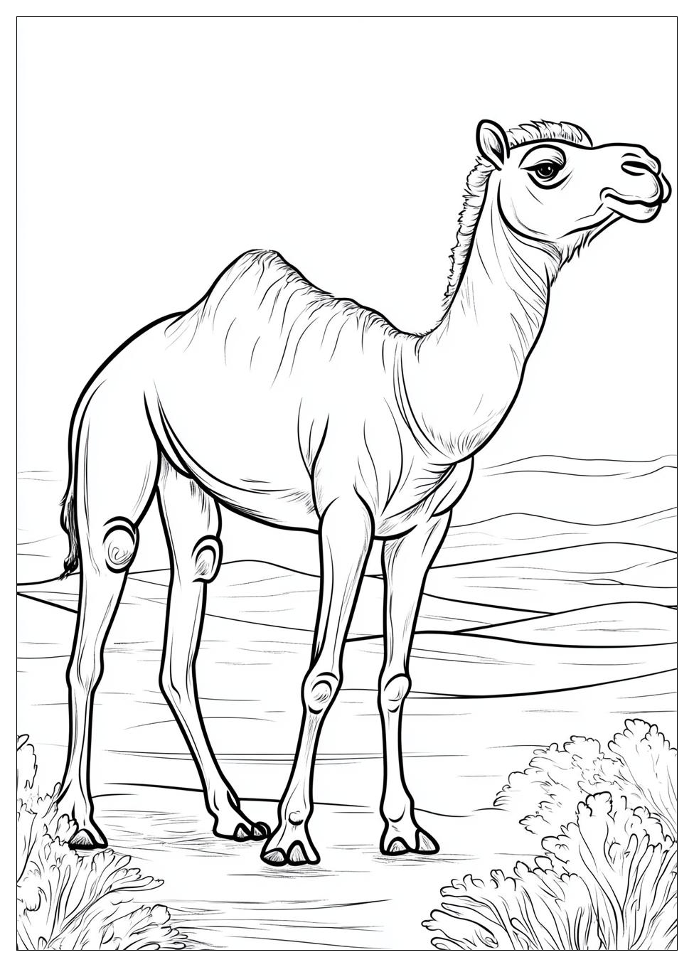 camel_coloring_pages_13