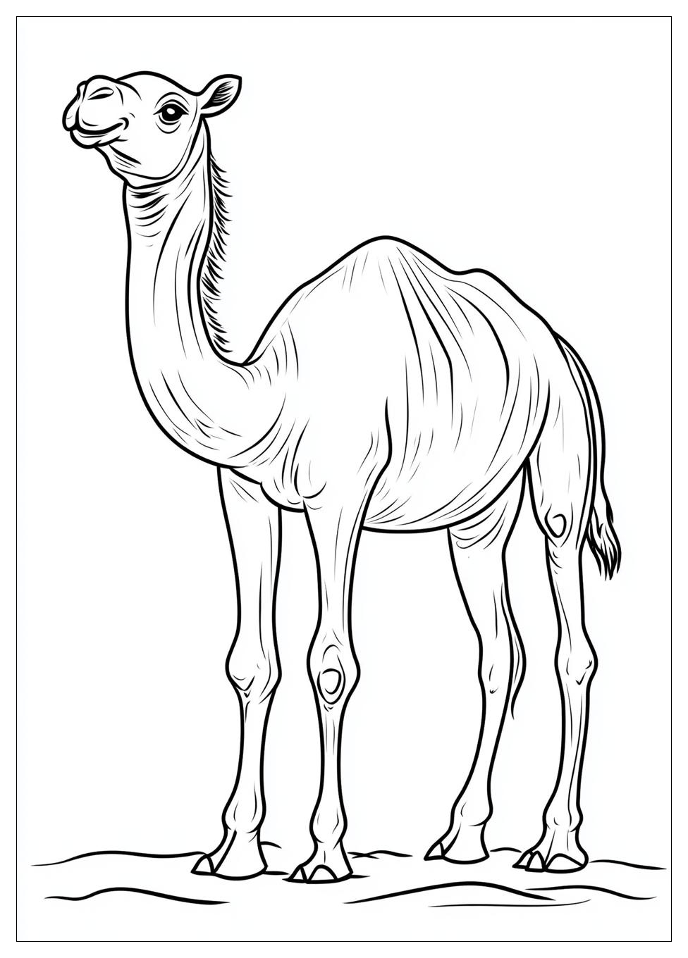 camel_coloring_pages_17