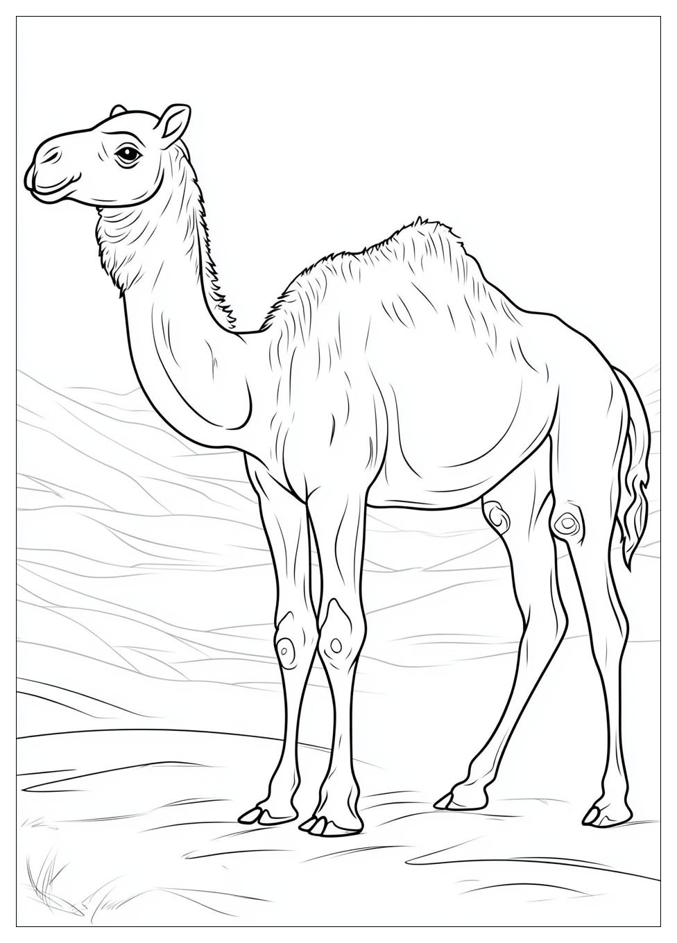 camel_coloring_pages_19