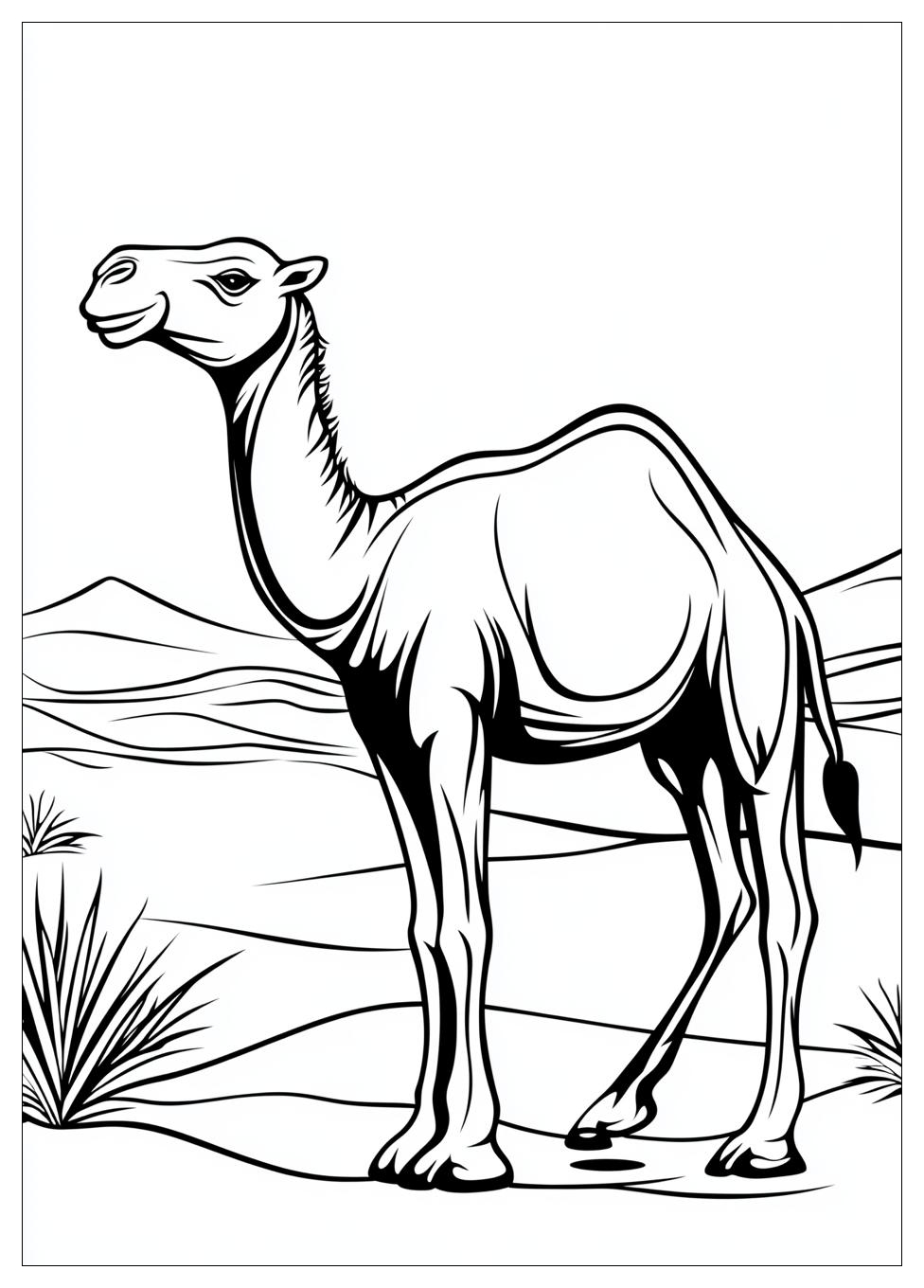 camel_coloring_pages_3