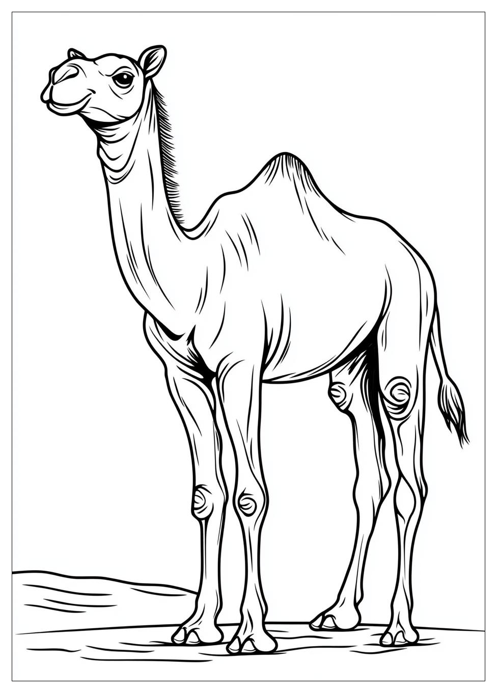 camel_coloring_pages_4
