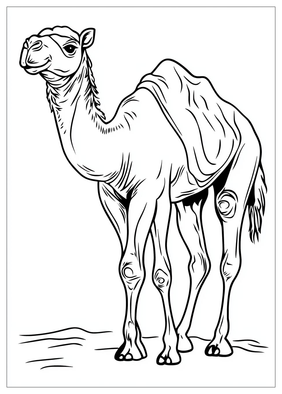 camel_coloring_pages_5
