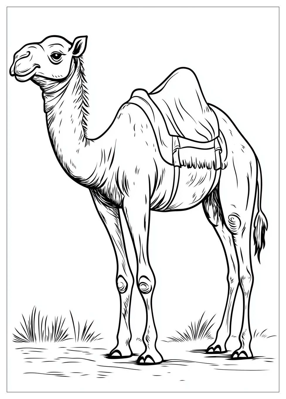 camel_coloring_pages_9