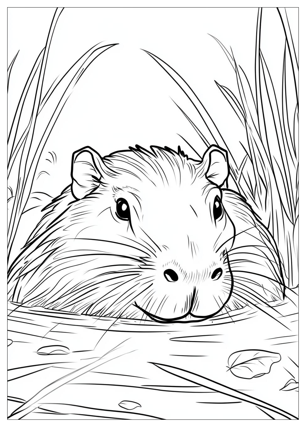 capybara_coloring_pages_12