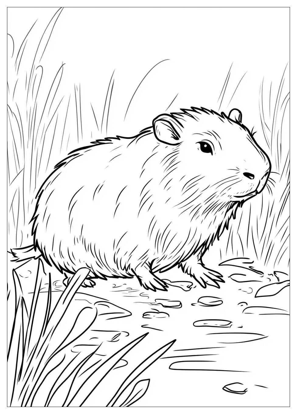 capybara_coloring_pages_4