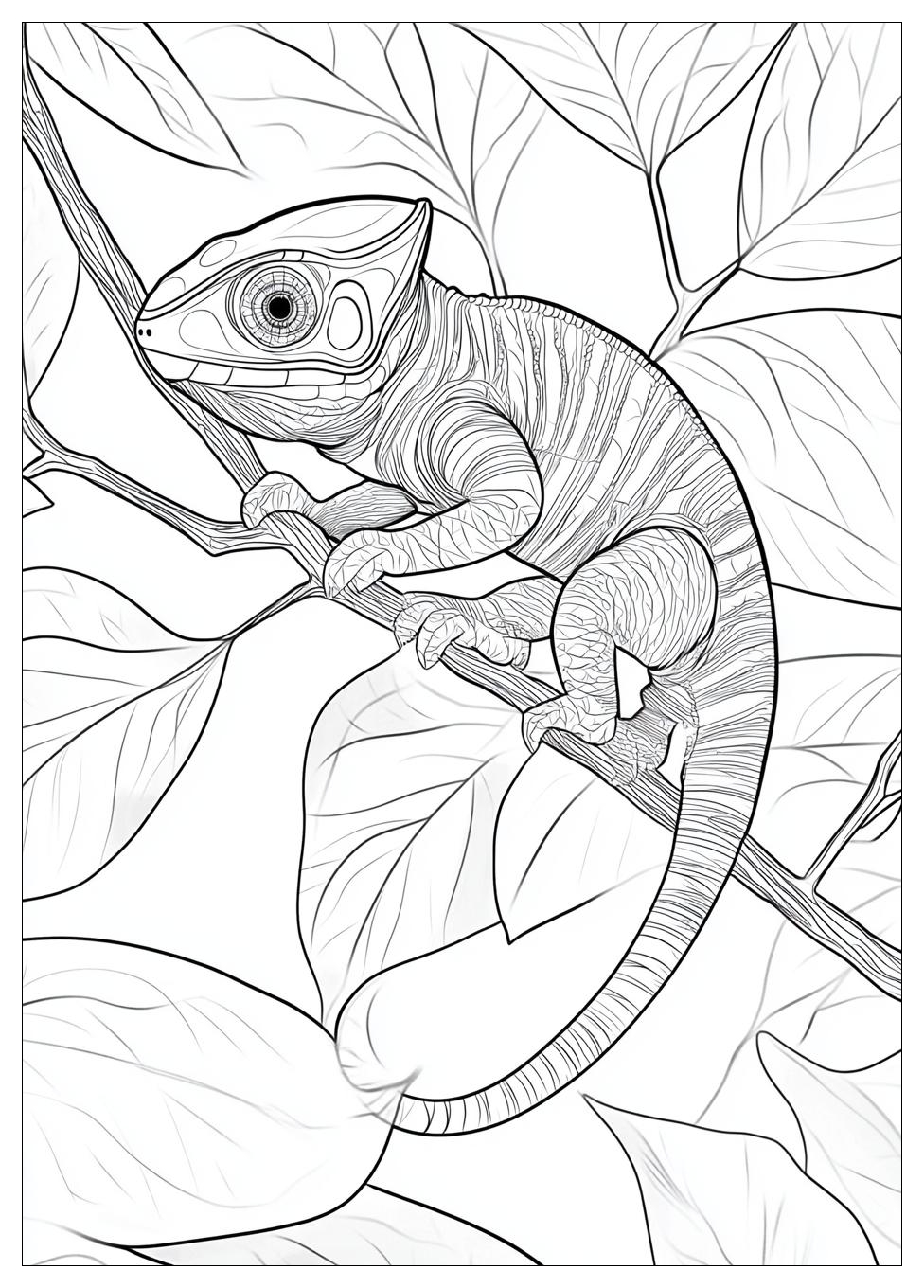 chameleon_coloring_pages_11