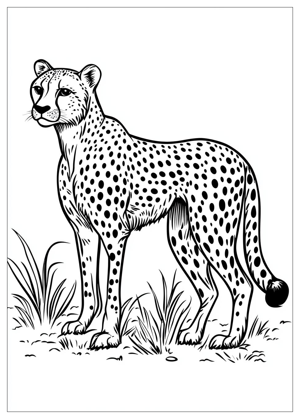 cheetah_coloring_pages_1
