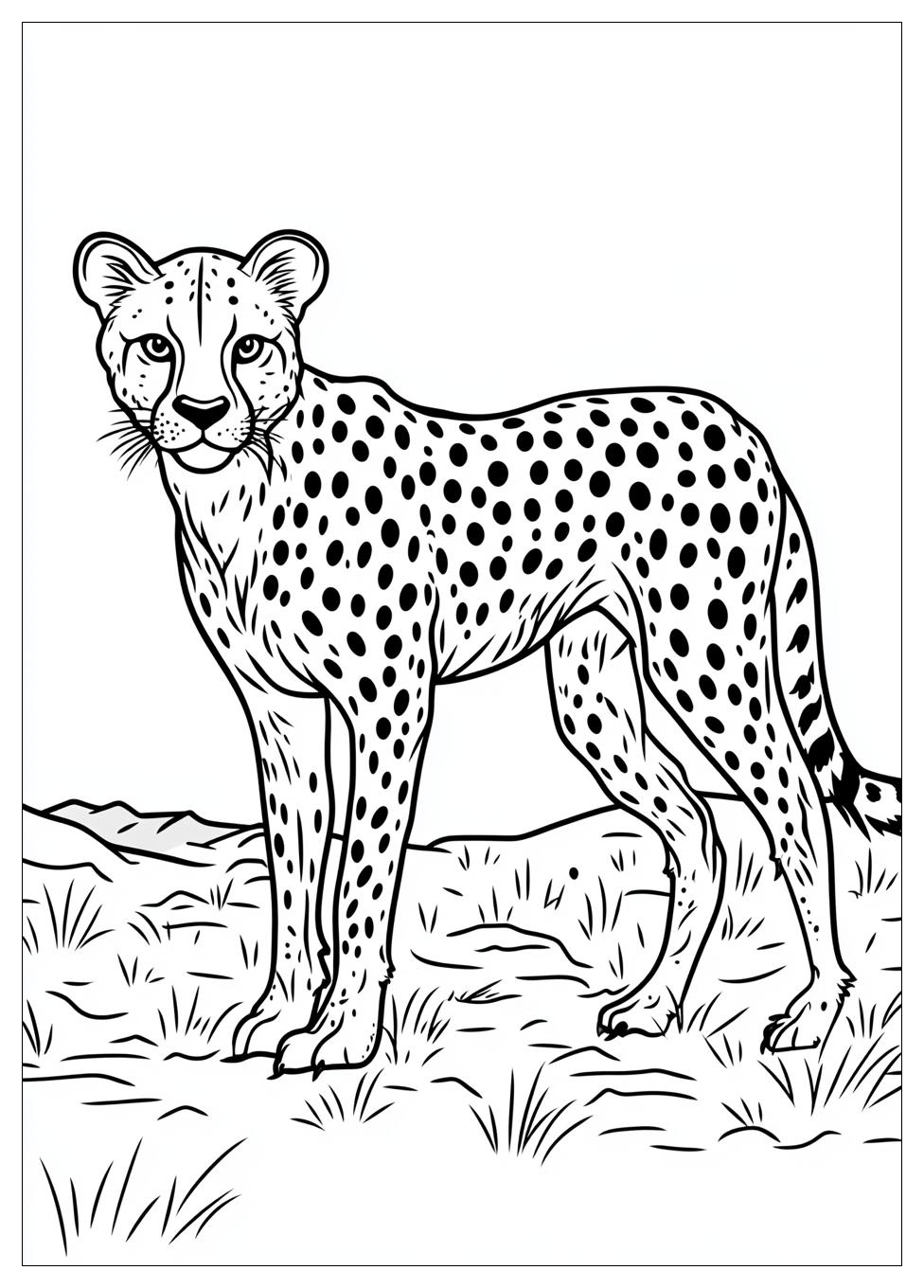 cheetah_coloring_pages_3